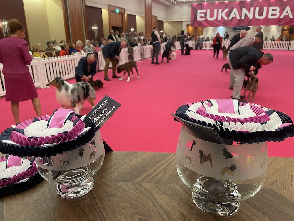 Eukanuba, UK style …